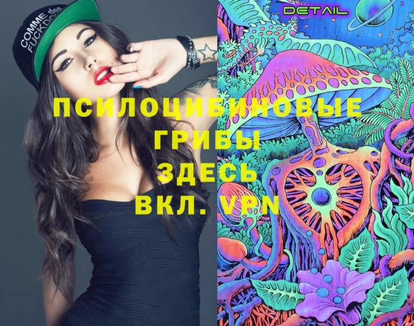 МДПВ Алексин