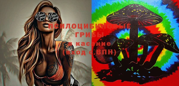 дмт Алзамай