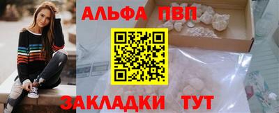 твердый Кингисепп