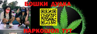 индика Кинель