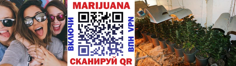 Каннабис SATIVA & INDICA  KRAKEN ссылка  shop состав  Кыштым 